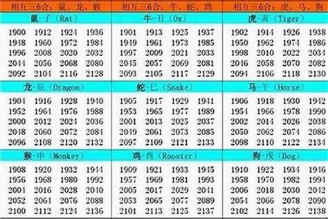 2002年生肖五行|2002年属什么命 2002年属什么生肖和什么最配